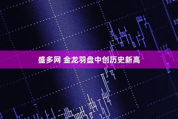 盛多网 金龙羽盘中创历史新高