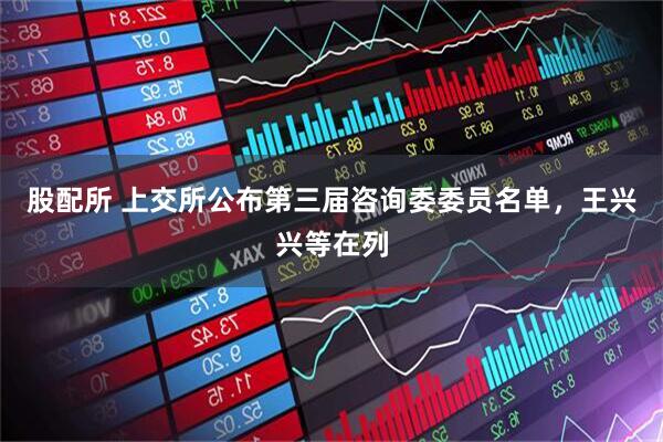 股配所 上交所公布第三届咨询委委员名单，王兴兴等在列