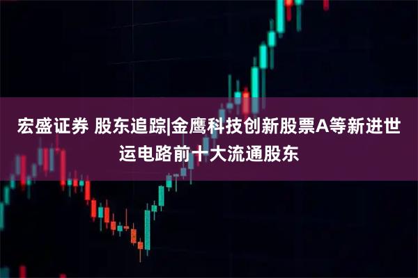 宏盛证券 股东追踪|金鹰科技创新股票A等新进世运电路前十大流通股东
