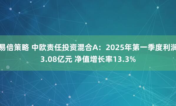 易倍策略 中欧责任投资混合A：2025年第一季度利润3.08亿元 净值增长率13.3%