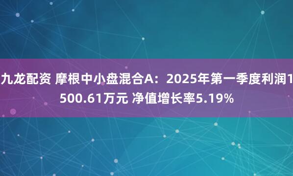 九龙配资 摩根中小盘混合A：2025年第一季度利润1500.61万元 净值增长率5.19%