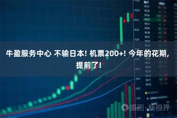 牛盈服务中心 不输日本! 机票200+! 今年的花期, 提前了!